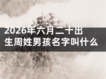 2026年六月二十出生周姓男孩名字叫什么