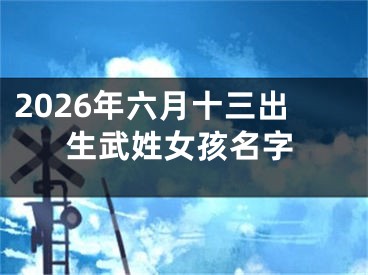 2026年六月十三出生武姓女孩名字