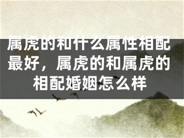 属虎的和什么属性相配最好,属虎的和属虎的相配婚姻怎么样