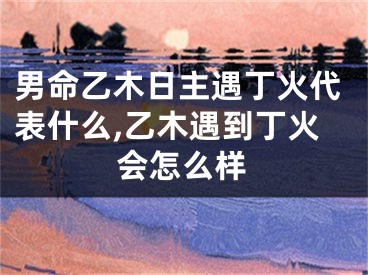 男命乙木日主遇丁火代表什么,乙木遇到丁火会怎么样
