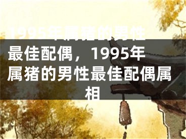 1995年属猪的男性最佳配偶,1995年属猪的男性最佳配偶属相