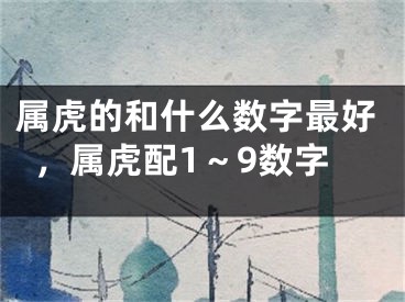 属虎的和什么数字最好，属虎配1～9数字