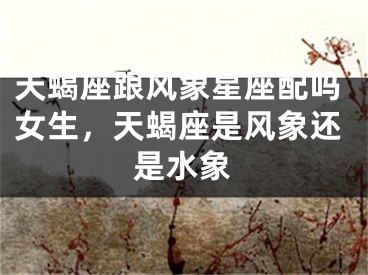 天蝎座跟风象星座配吗女生，天蝎座是风象还是水象