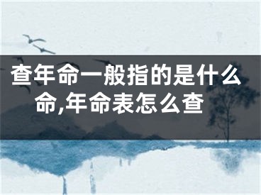 查年命一般指的是什么命,年命表怎么查