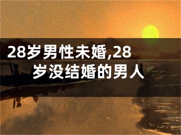28岁男性未婚,28岁没结婚的男人