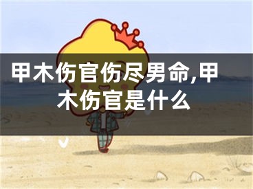 甲木伤官伤尽男命,甲木伤官是什么