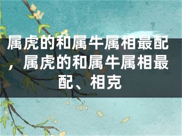 属虎的和属牛属相最配,属虎的和属牛属相最配、相克