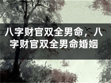 八字财官双全男命，八字财官双全男命婚姻