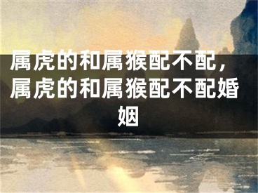 属虎的和属猴配不配,属虎的和属猴配不配婚姻