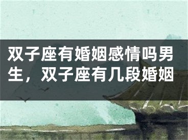 双子座有婚姻感情吗男生，双子座有几段婚姻