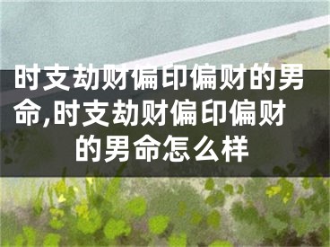 时支劫财偏印偏财的男命,时支劫财偏印偏财的男命怎么样