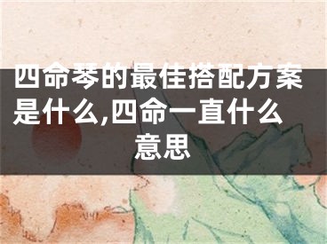 四命琴的最佳搭配方案是什么,四命一直什么意思