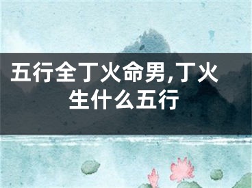 五行全丁火命男,丁火生什么五行