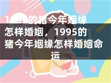 1995的猪今年姻缘怎样婚姻，1995的猪今年姻缘怎样婚姻命运