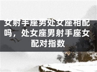 女射手座男处女座相配吗，处女座男射手座女配对指数