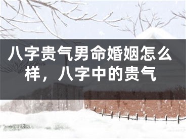 八字贵气男命婚姻怎么样,八字中的贵气