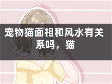 宠物猫面相和风水有关系吗，猫