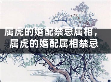 属虎的婚配禁忌属相,属虎的婚配属相禁忌