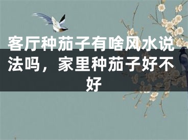 客厅种茄子有啥风水说法吗，家里种茄子好不好