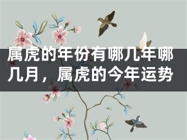 属虎的年份有哪几年哪几月,属虎的今年运势