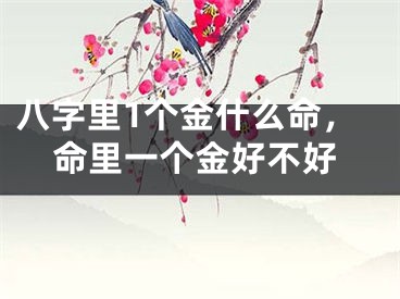 八字里1个金什么命,命里一个金好不好