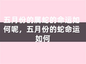 五月份的属蛇的命运如何呢，五月份的蛇命运如何