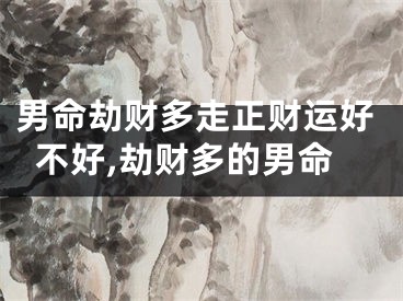 男命劫财多走正财运好不好,劫财多的男命