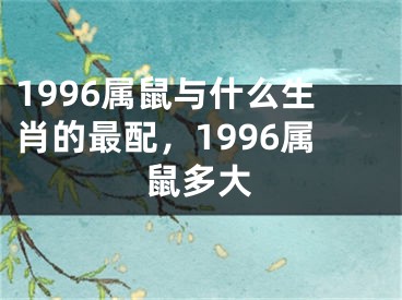 1996属鼠与什么生肖的最配，1996属鼠多大
