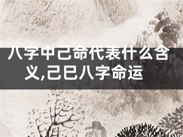 八字中己命代表什么含义,己巳八字命运