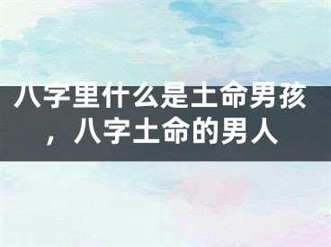 八字里什么是土命男孩,八字土命的男人