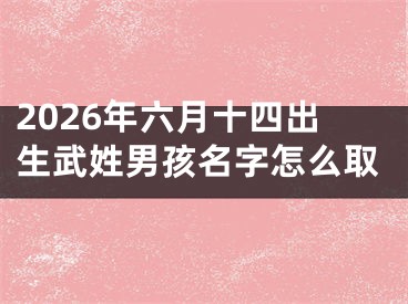 2026年六月十四出生武姓男孩名字怎么取