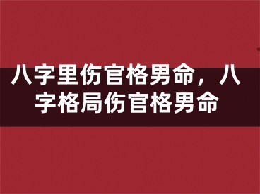 八字里伤官格男命,八字格局伤官格男命