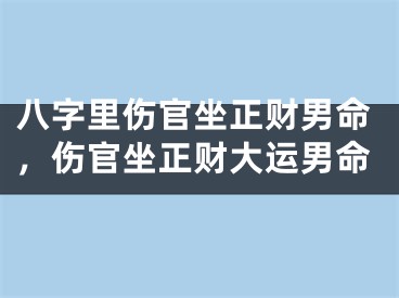 八字里伤官坐正财男命，伤官坐正财大运男命