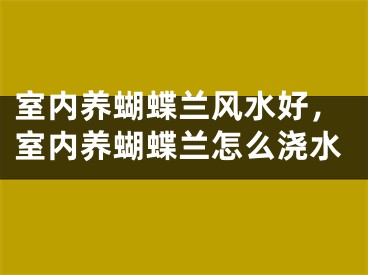室内养蝴蝶兰风水好，室内养蝴蝶兰怎么浇水