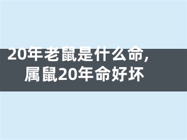 20年老鼠是什么命,属鼠20年命好坏