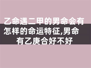 乙命遇二甲的男命会有怎样的命运特征,男命有乙庚合好不好