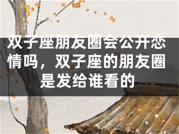 双子座朋友圈会公开恋情吗，双子座的朋友圈是发给谁看的