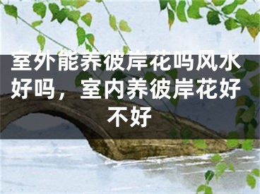 室外能养彼岸花吗风水好吗,室内养彼岸花好不好