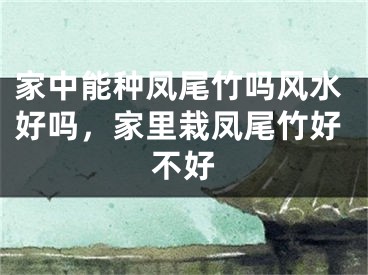 家中能种凤尾竹吗风水好吗，家里栽凤尾竹好不好