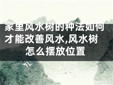 家里风水树的种法如何才能改善风水,风水树怎么摆放位置