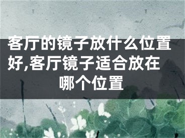 客厅的镜子放什么位置好,客厅镜子适合放在哪个位置