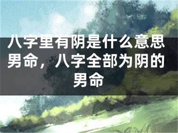 八字里有阴是什么意思男命，八字全部为阴的男命