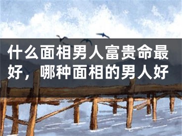 什么面相男人富贵命最好，哪种面相的男人好