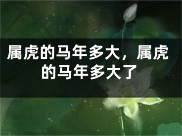 属虎的马年多大,属虎的马年多大了