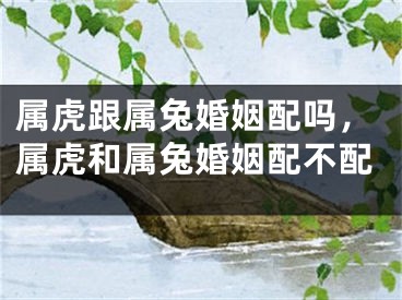 属虎跟属兔婚姻配吗,属虎和属兔婚姻配不配
