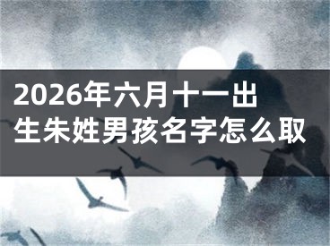 2026年六月十一出生朱姓男孩名字怎么取