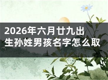 2026年六月廿九出生孙姓男孩名字怎么取
