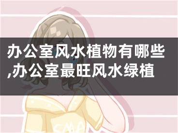 办公室风水植物有哪些,办公室最旺风水绿植