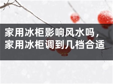家用冰柜影响风水吗，家用冰柜调到几档合适
