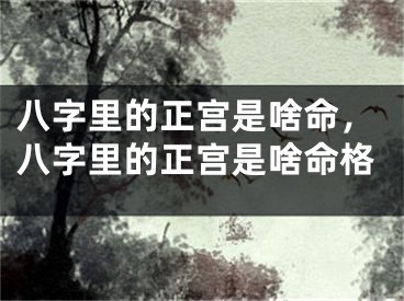 八字里的正宫是啥命,八字里的正宫是啥命格